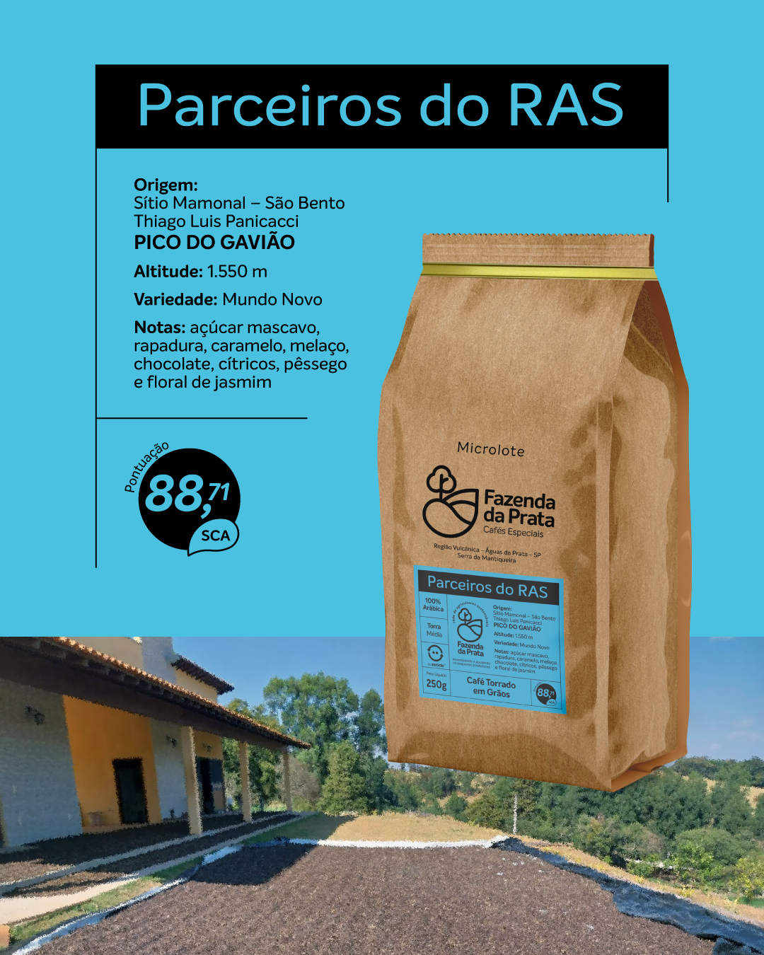 post-RAS-picodogaviao