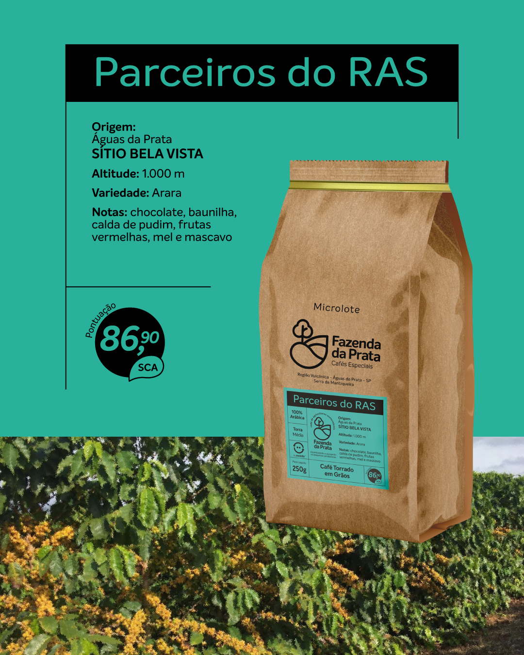 post-RAS-sitiobelavista