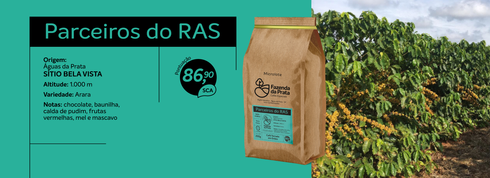 slider-RAS-sitiobelavista